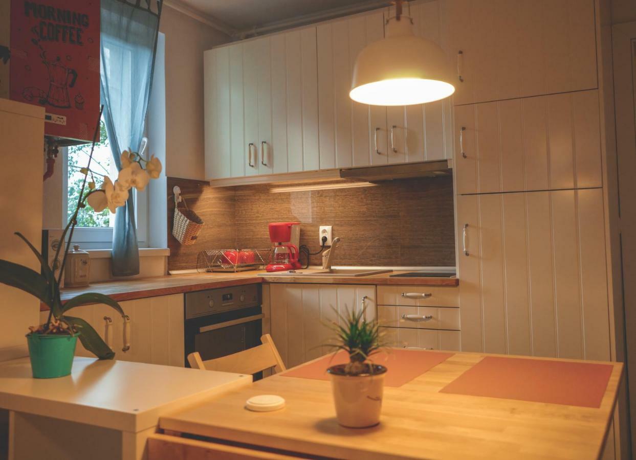 Comfy Apartment Сигишоара Екстериор снимка