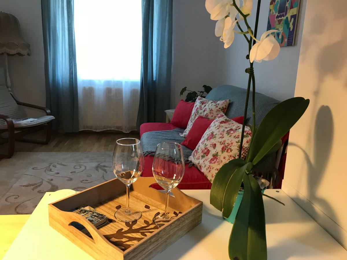 Comfy Apartment Сигишоара Екстериор снимка