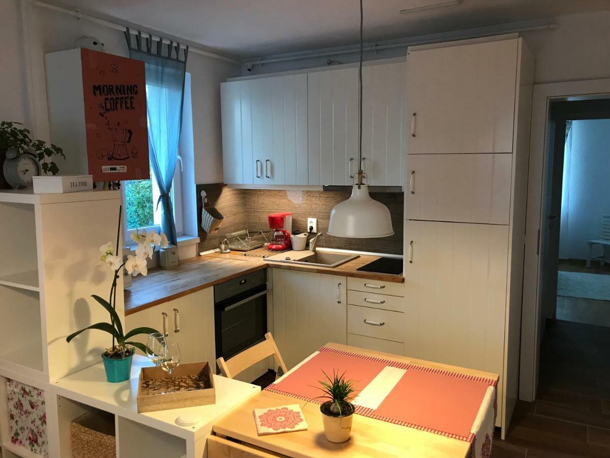Comfy Apartment Сигишоара Екстериор снимка